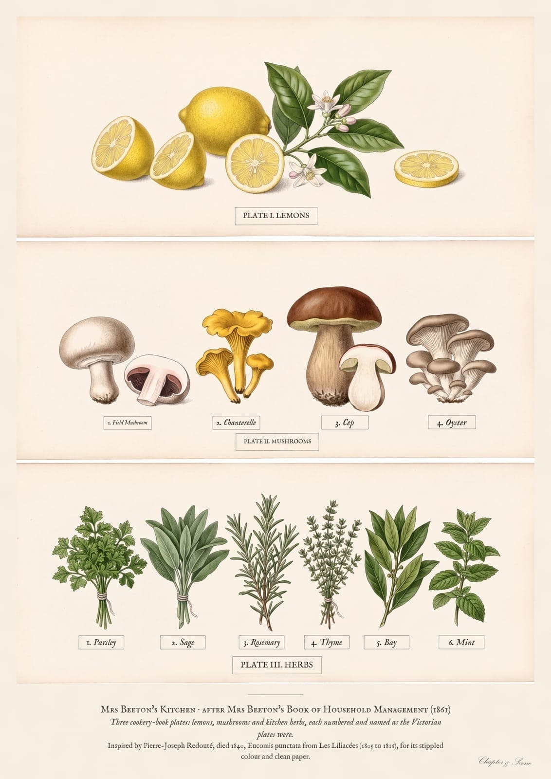 Set of three Mrs Beeton style kitchen prints in a botanical stipple engraving: Plate I Lemons, Plate II Mushrooms and Plate III Herbs, each a fine dotted illustration on cream paper with a numbered caption.