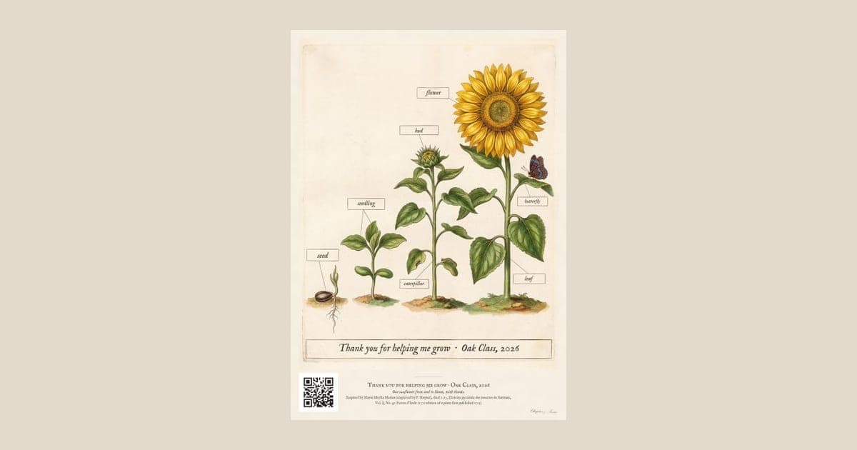 Personalised teacher thank-you print in the style of a coloured botanical engraving: one plant shown in four stages from seed to flower on cream, with Thank you for helping me grow and a line for the class name and year.